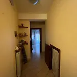 Cassiopea