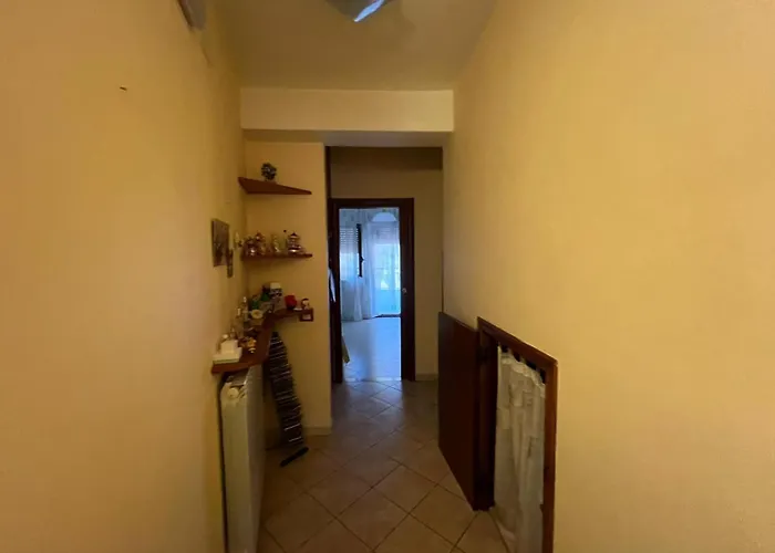 Cassiopea