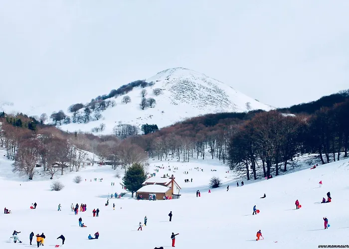 Cassiopea Prázdninový dům